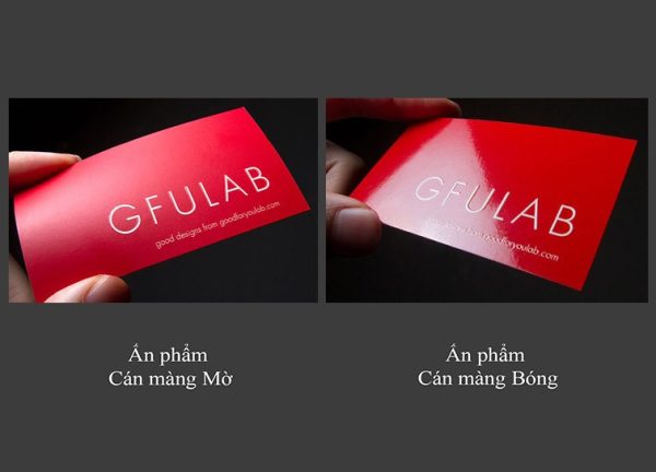 MÀNG NHIỆT BOPP BÓNG - Ảnh 2